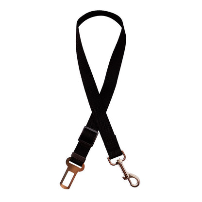 Black dog leash with brass hardware on a white background