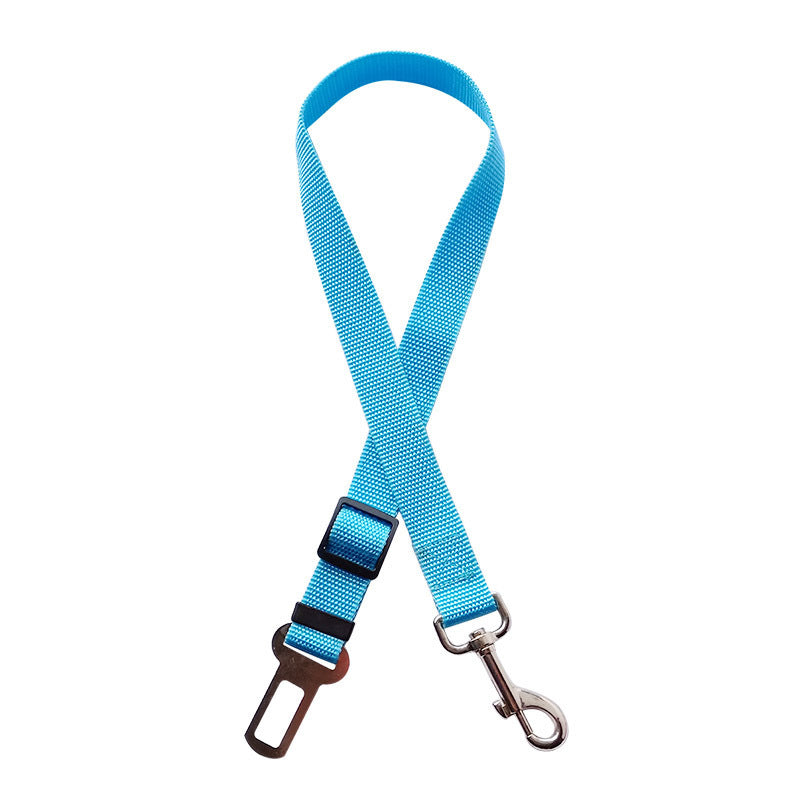 Light Blue dog leash with clip and carabiner on a white background