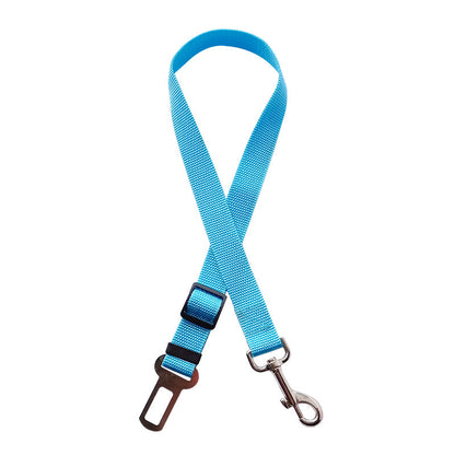 Light Blue dog leash with clip and carabiner on a white background
