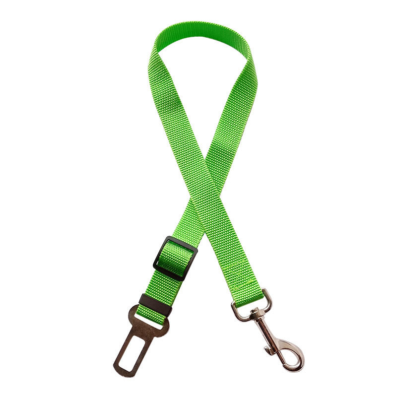 Light Green dog leash with clip on a white background