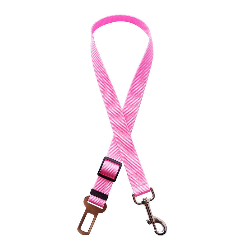 Pink dog leash with metal clip and carabiner on a white background