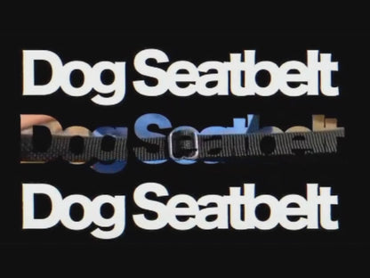 Dog Car Seatbelt Lead Video